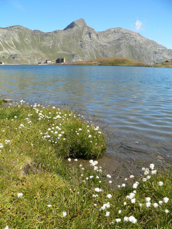 Lago Miserin - Parco naturale Mont Avic